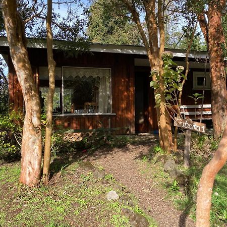 Cabanas El Bosque Patagonico Фрутильяр Экстерьер фото