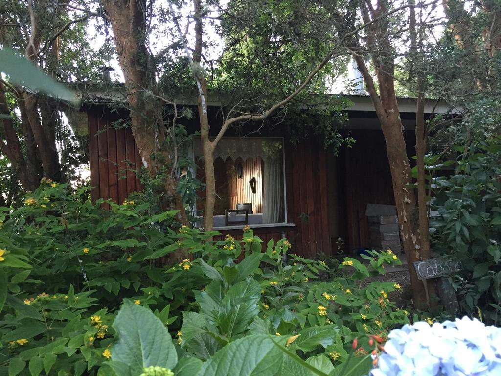 Cabanas El Bosque Patagonico Фрутильяр Экстерьер фото
